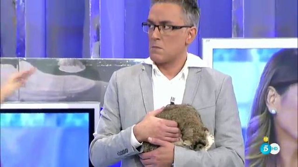 Kiko Hernández y pulgas, su gato disecado