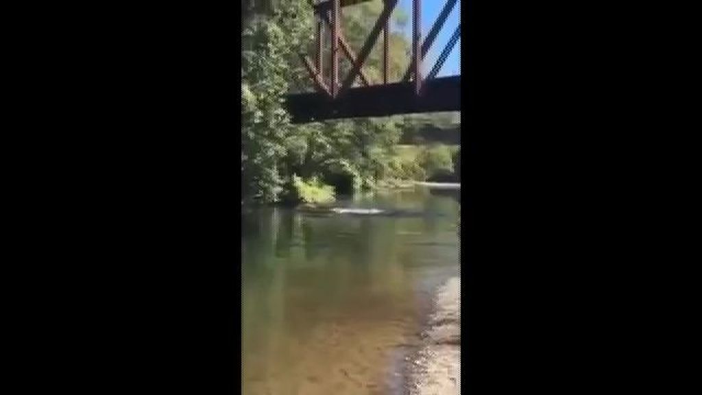 Lanzan a un niño de cuatro años desde lo alto de un puente