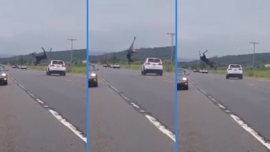 El espectacular vuelo de un alce tras ser atropellado en una carretera de EEUU