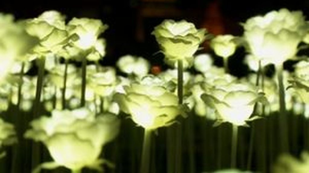 Hong Kong celebra San Valentín con un jardín de 25.000 rosas LED