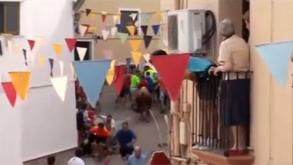 Susto en Moixent tras escaparse un toro