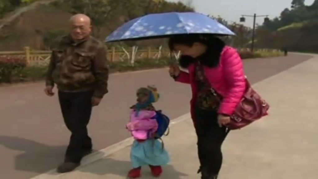 El perro que anda a dos patas