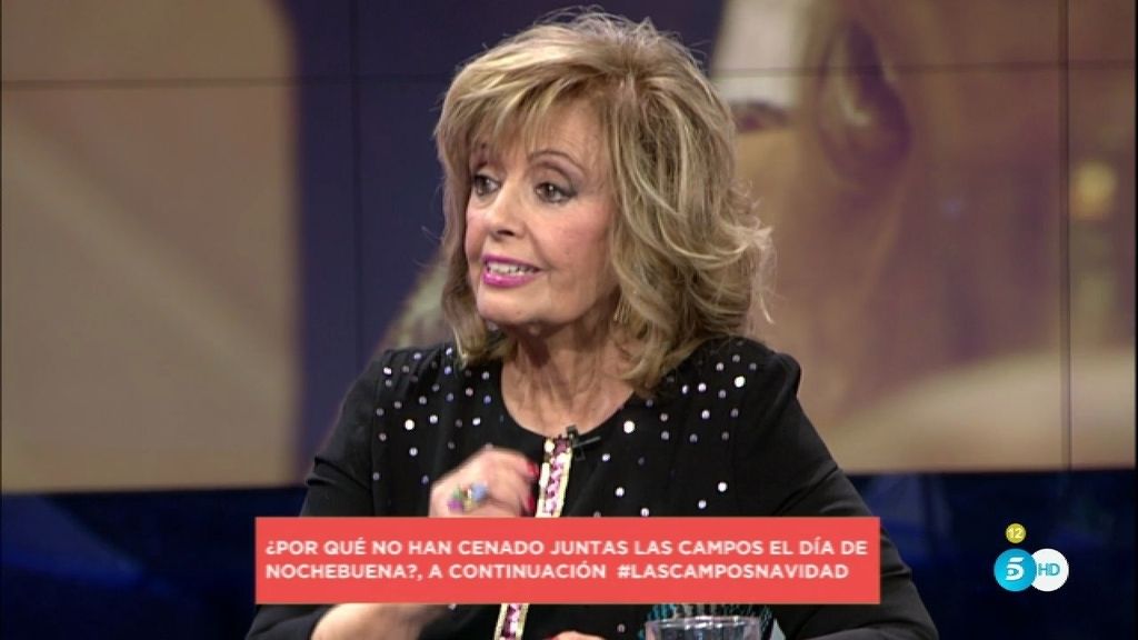 Mª Teresa Campos: "Me parece absurdo casarme a estas alturas de la película"