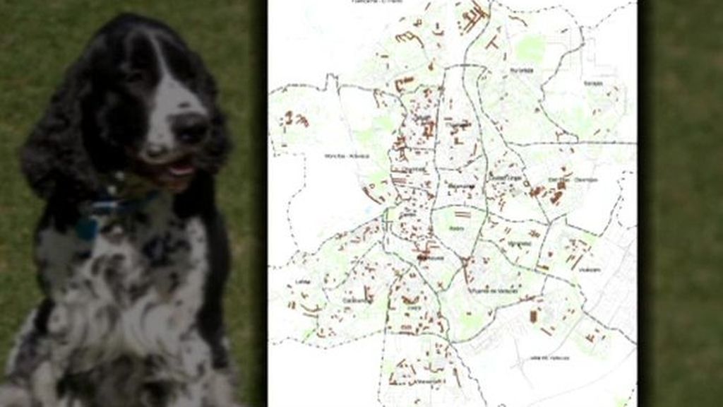 El mapa más sucio: la guía por las cacas de perro de Madrid