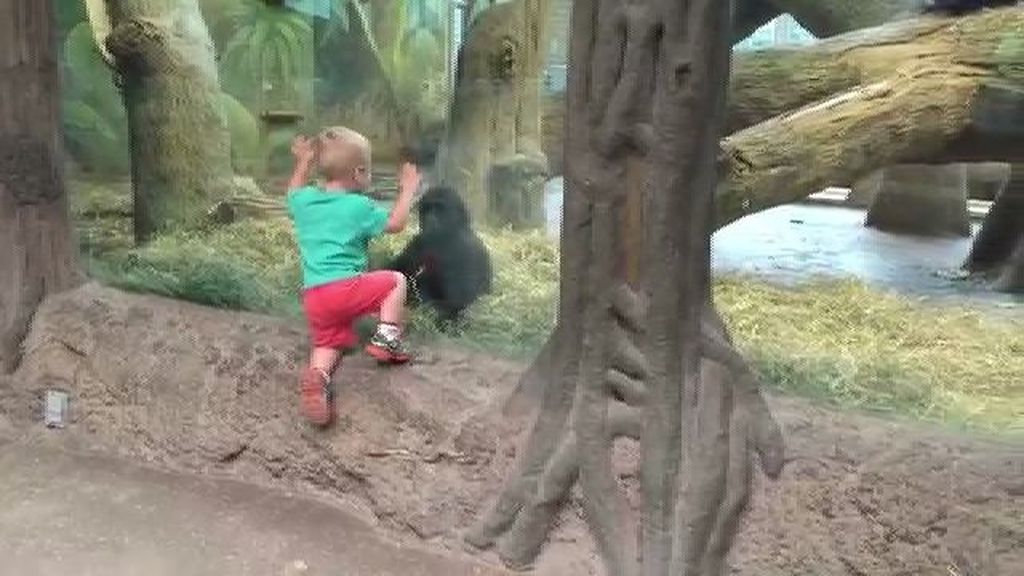 ¡A que no me pillas! Divertido juego de un gorila con un niño en el zoo