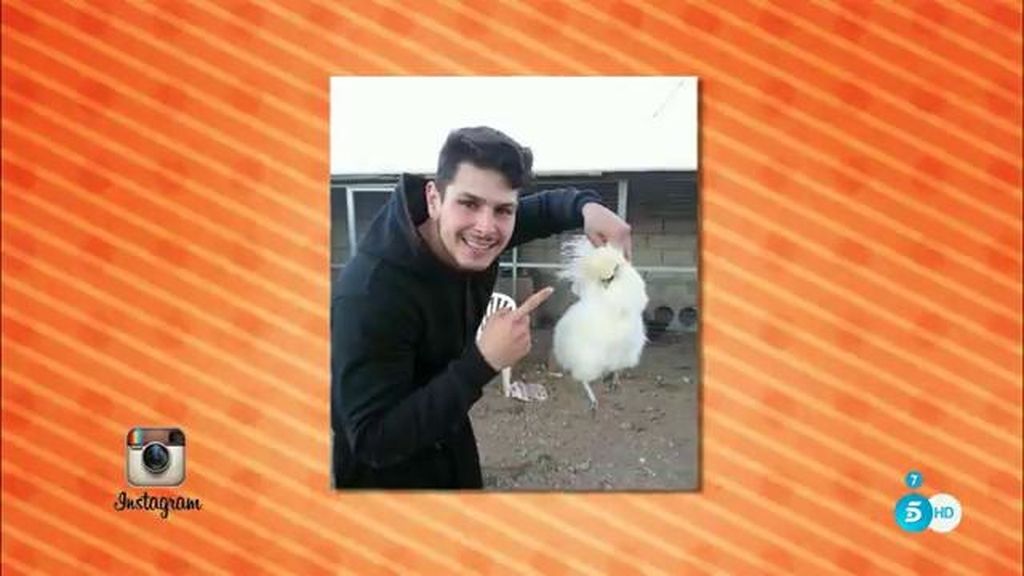 Alejandro Nieto aclara la polémica de los gallos: “Solo me gusta la crianza, soy criador de gallos y solo los tanteo”
