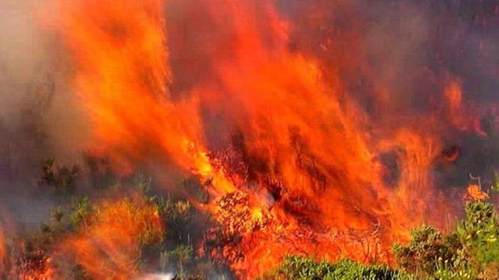 Galicia: otra vez en llamas