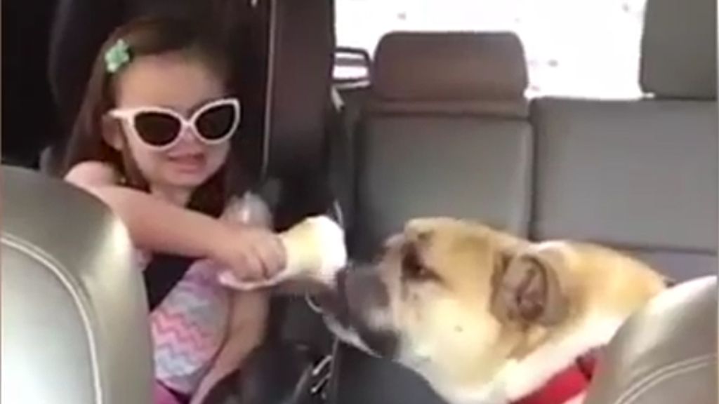 El adorable gesto de compartir un helado con su perro que divide a la Red