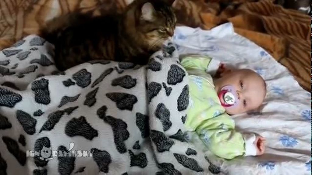 El gato niñera que duerme al bebé