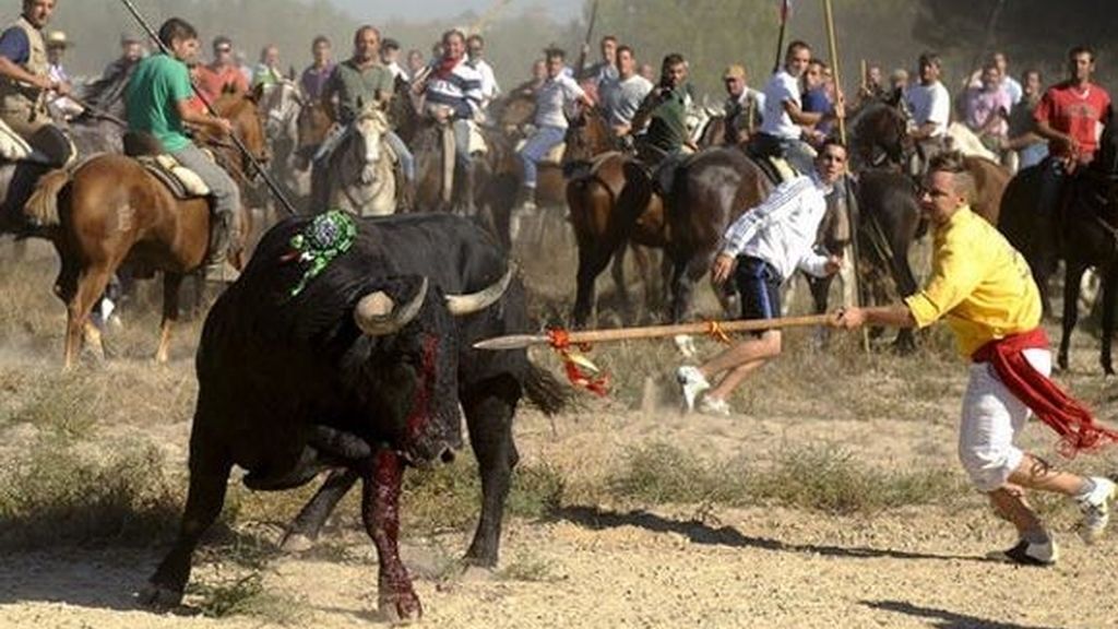 Jorge Javier Vázquez y Dani Rovira se unen a la lucha contra el toro de La Vega