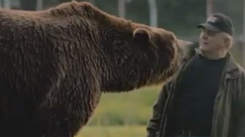 El mejor amigo de los osos