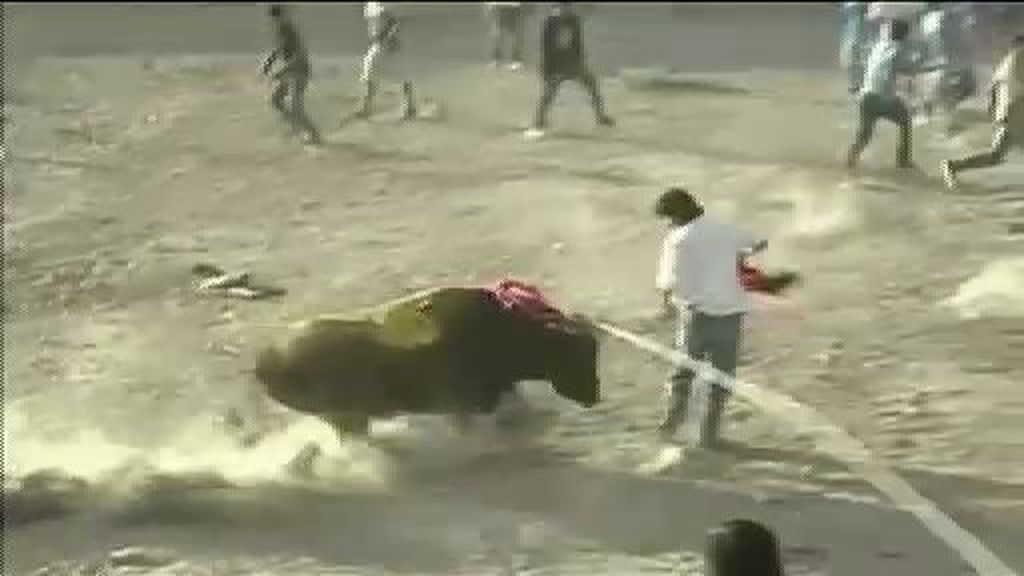Nueve heridos por asta de toro en Perú
