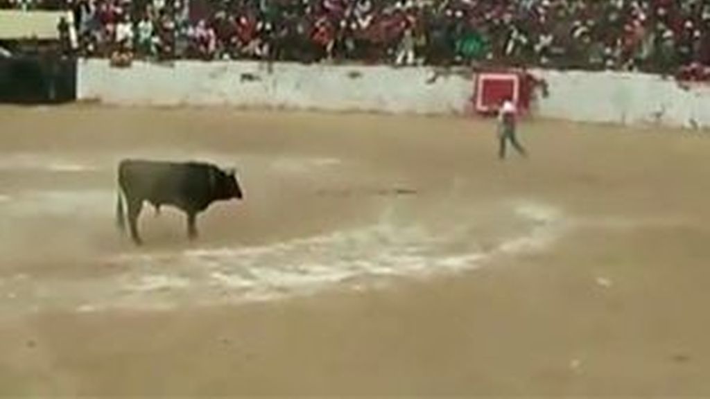 Un toro salta a las gradas y deja al menos cuatro heridos entre el público en Perú