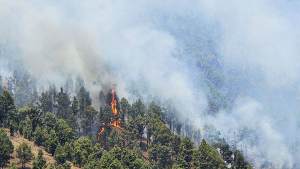 La mejoría del tiempo permite avanzar la extinción del incendio de La Palma
