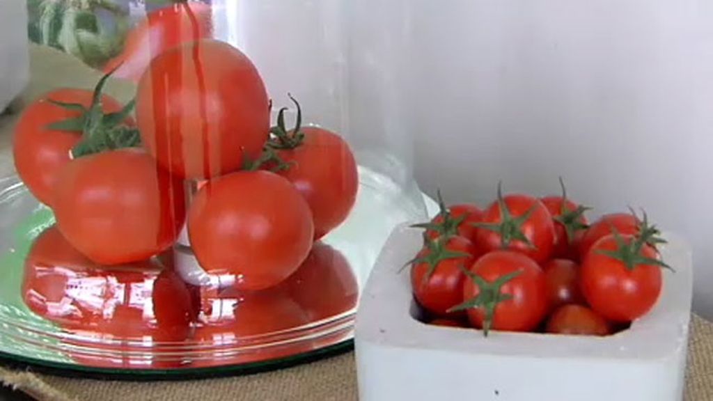 Almería, capital mundial del tomate