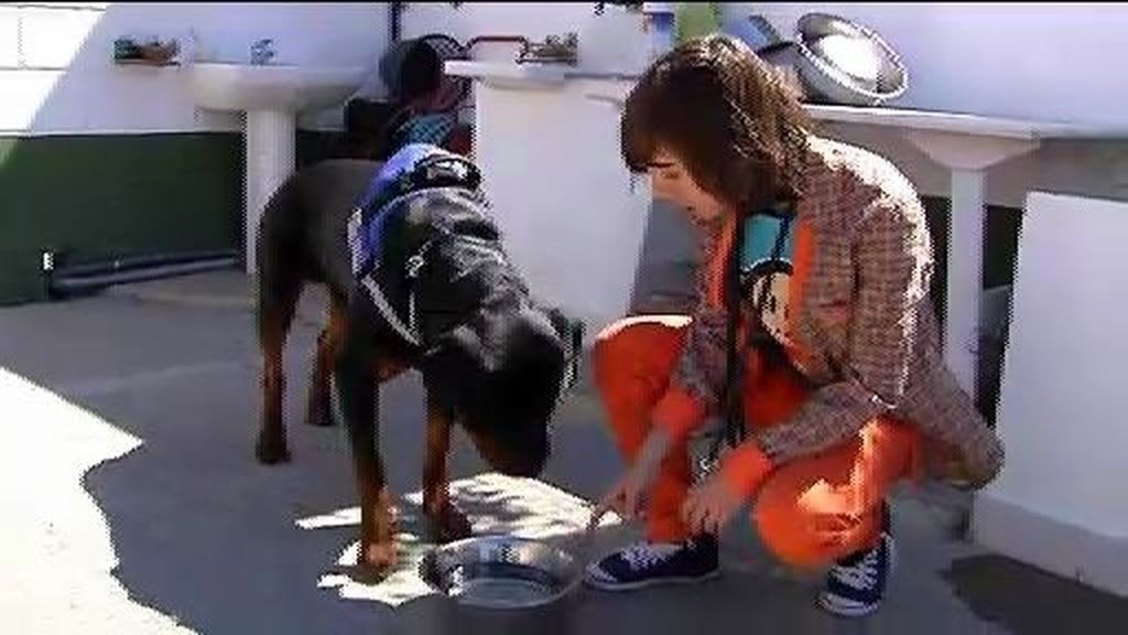 Alicia supera el miedo a los perros gracias a los canes de la policía de Alicante