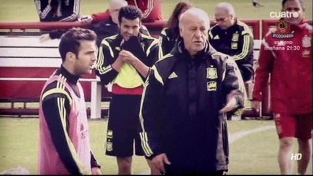 Del Bosque quita el peto de titular a Cesc para dárselo a Xabi Alonso