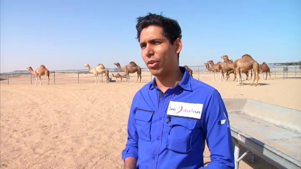 Según los médicos, la leche de camello es curativa y previene muchas enfermedades