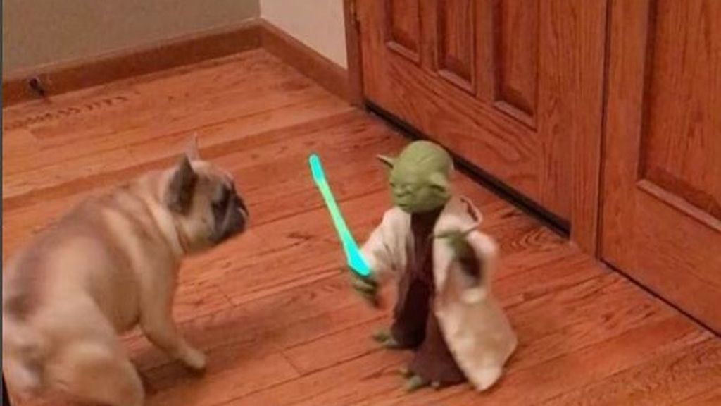 Una dura batalla entre dos bulldogs y el maestro Yoda