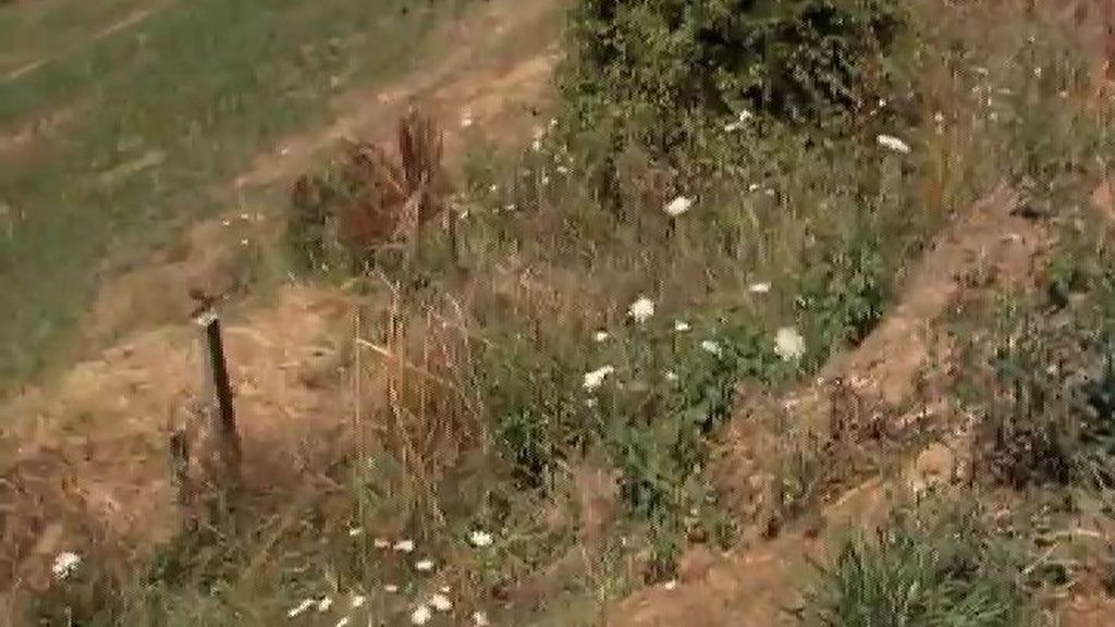 Se investiga cómo la cicuta llegó al organismo de los mellizos de Lekeitio