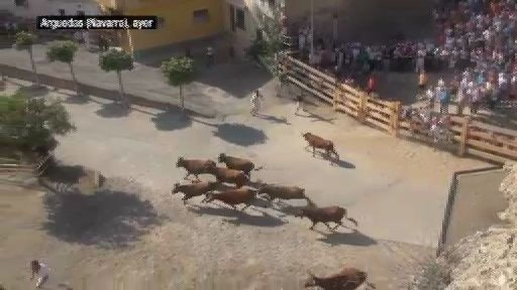 Una vaquilla escapa del encierro y provoca el pánico en los asistentes