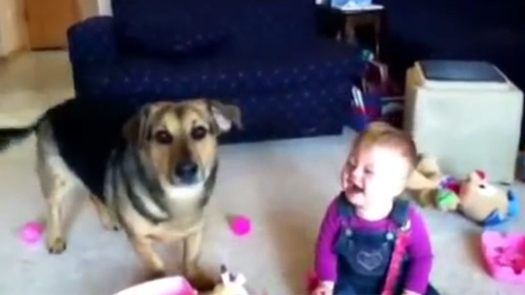 La risa de un bebé al ver a su perro jugando