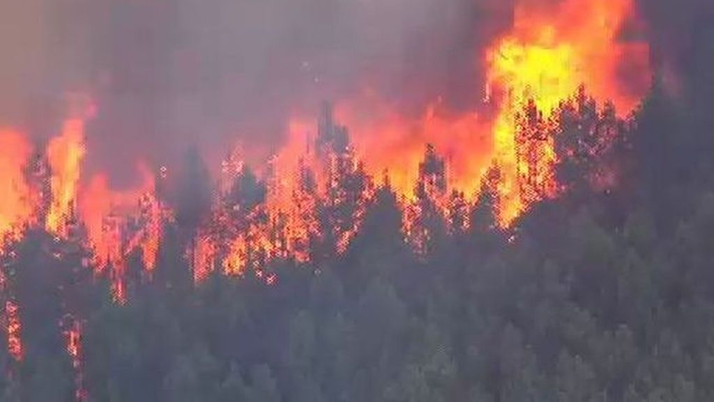 Ciento setenta incendios activos en el centro y norte de Portugal