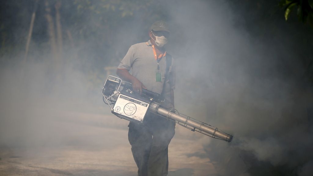 23 países del continente americano afectados por el virus del Zika