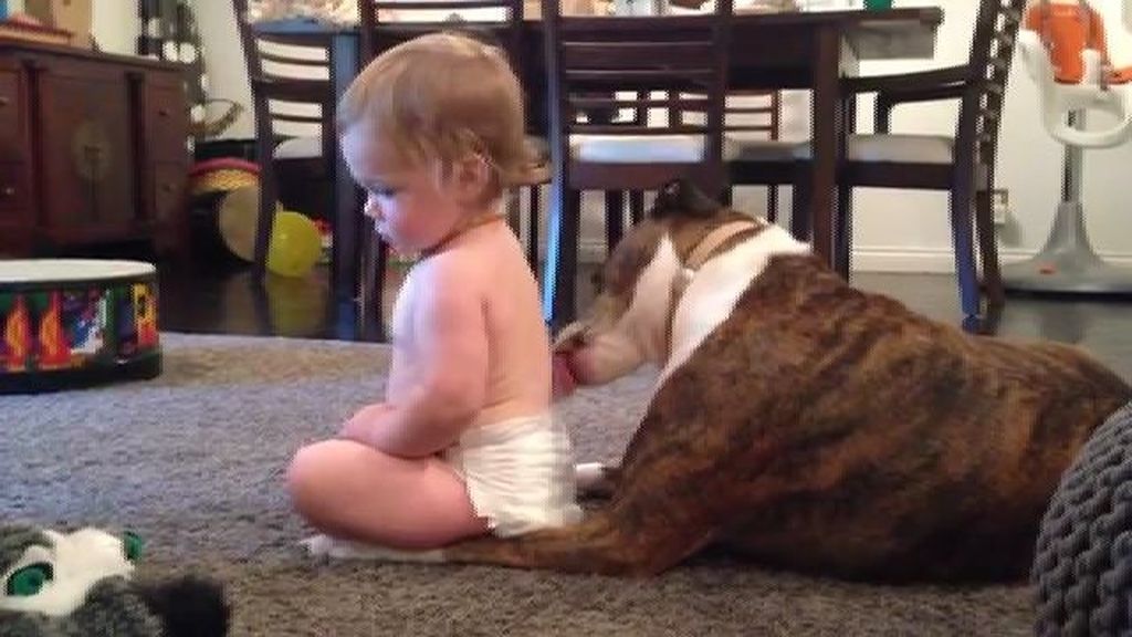 Cuando el perro es el mejor amigo del bebé
