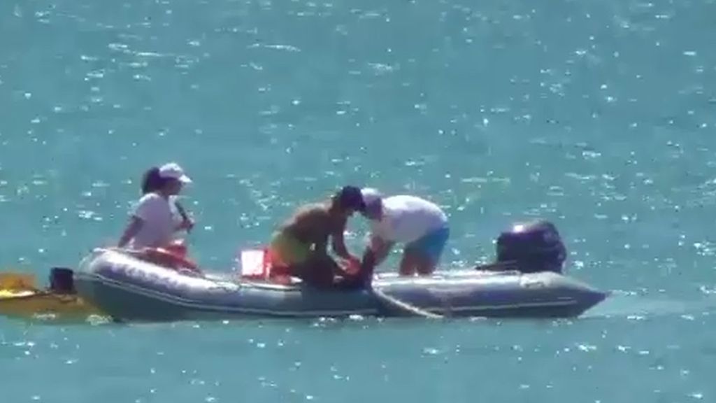 Dos atunes sacan a todos los bañistas del agua en Barbate, Cádiz