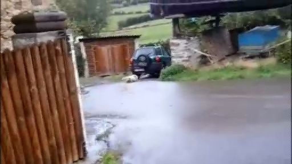 El hombre pillado mientras arrastraba a su perro con un coche no da explicaciones