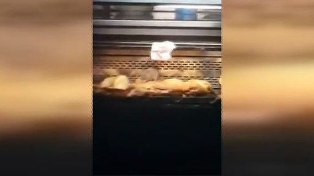 Clausuran una panadería en Madrid tras hallar varias ratas en el mostrador