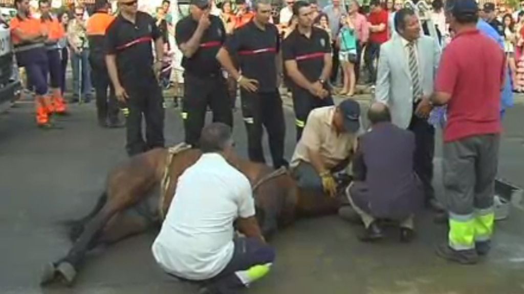 Consiguen salvar la vida de un caballo en la Feria de Sevilla