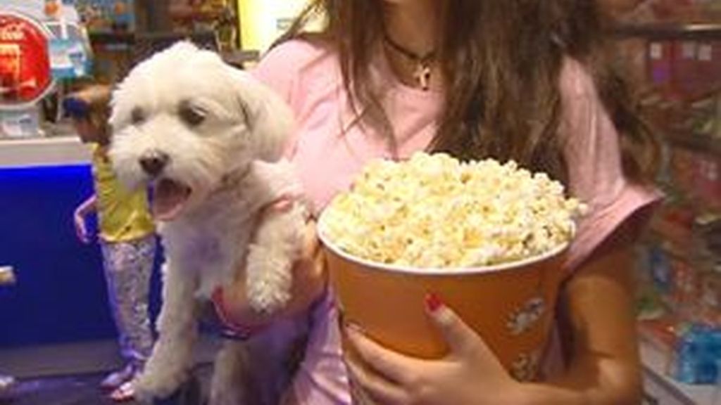 Un cine de Madrid permite a los espectadores entrar con sus perros