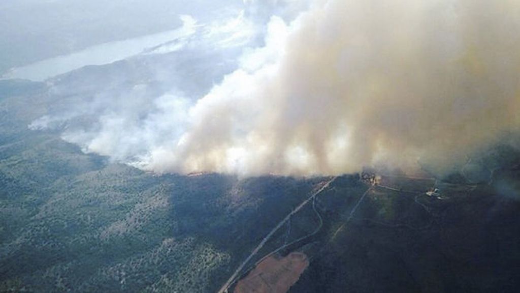 El fuego arrasa más de 700 hectáreas en Albacete