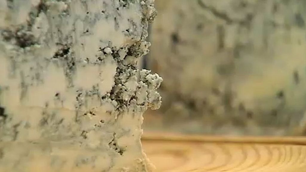 Popular homenaje gastronómico al queso cabrales en Asturias