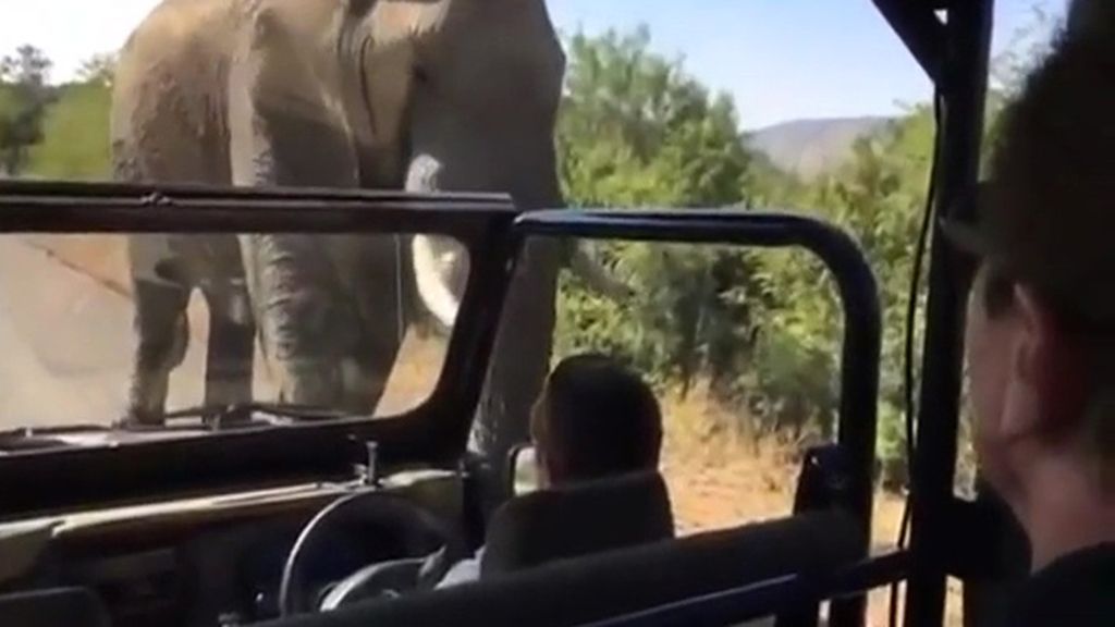 Arnold Schwarzenegger... ¡perseguido por un elefante en África!