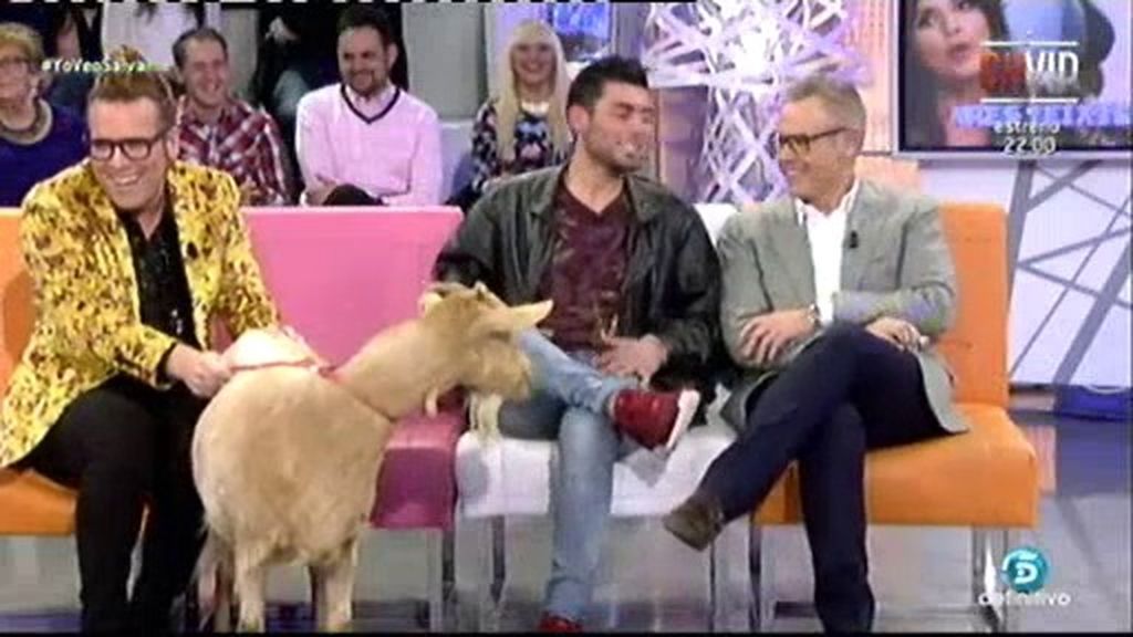 La cabra de 'GH 15' sorprende a Jordi