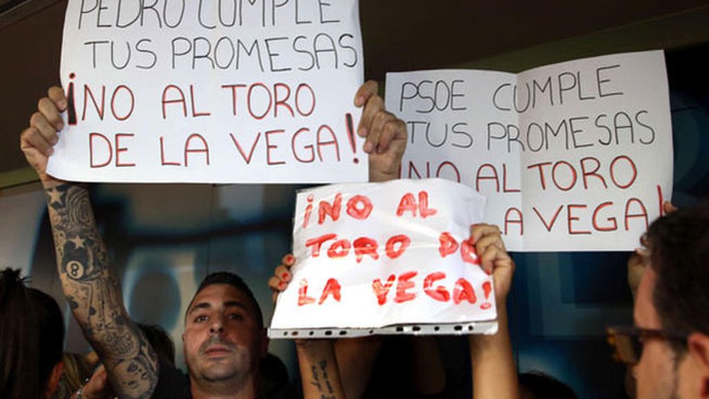 Animalistas 'revientan' un acto de Pedro Sánchez contra el Toro de la Vega