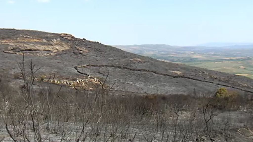 Detienen a tres personas sospechosas de provocar los incendios en Galicia