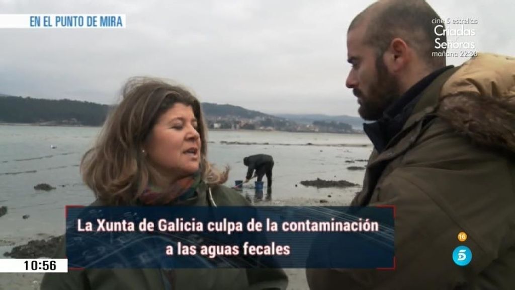 En el 'Punto de mira': La contaminación alimenticia en pescados, frutas y verduras