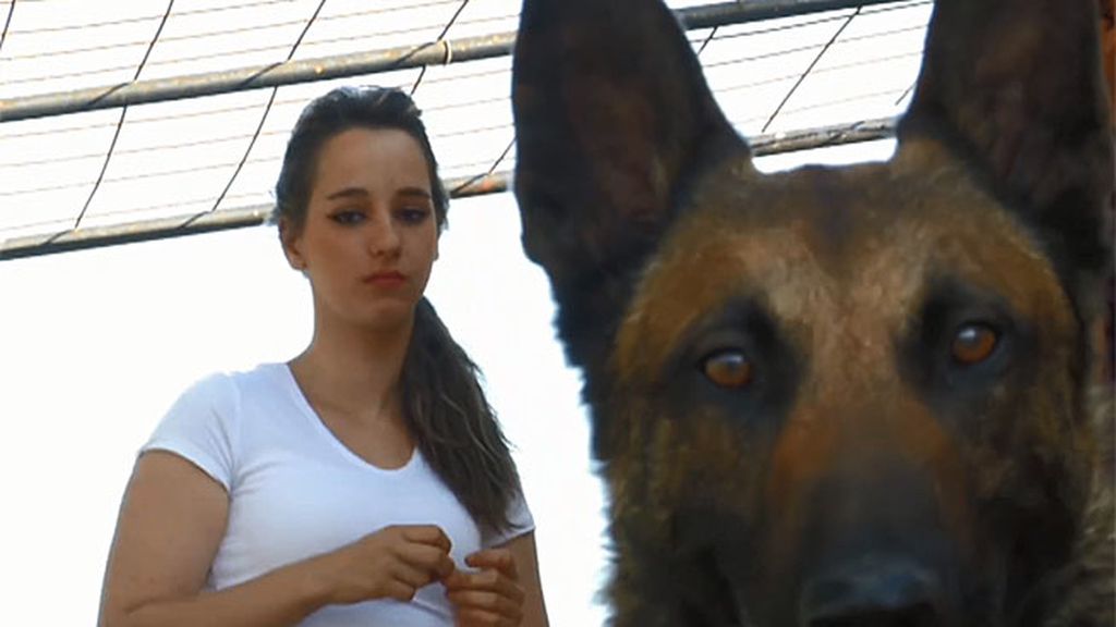Sabina se ve reflejada en un perro muy agresivo y empieza a comprender a su familia