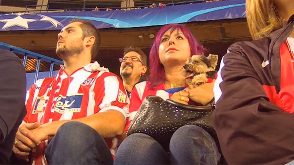 Koko, el perro colchonero que no se pierde un partido del Atlético de Madrid