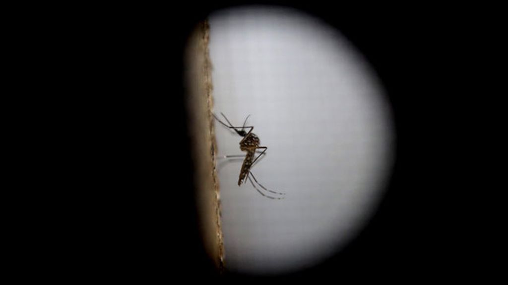 Se extreman las medidas por miedo al virus del Zika