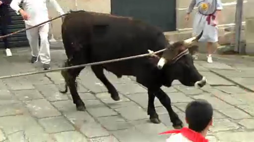 Tras el Toro de la Vega, los animalistas ponen su foco en Galicia y sus 'bueyes ensogados'