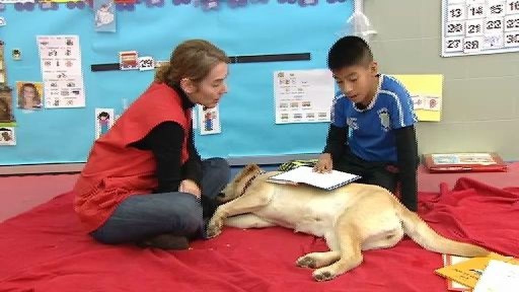 Los perros, los mejores profesores para niños con problemas con la lectura