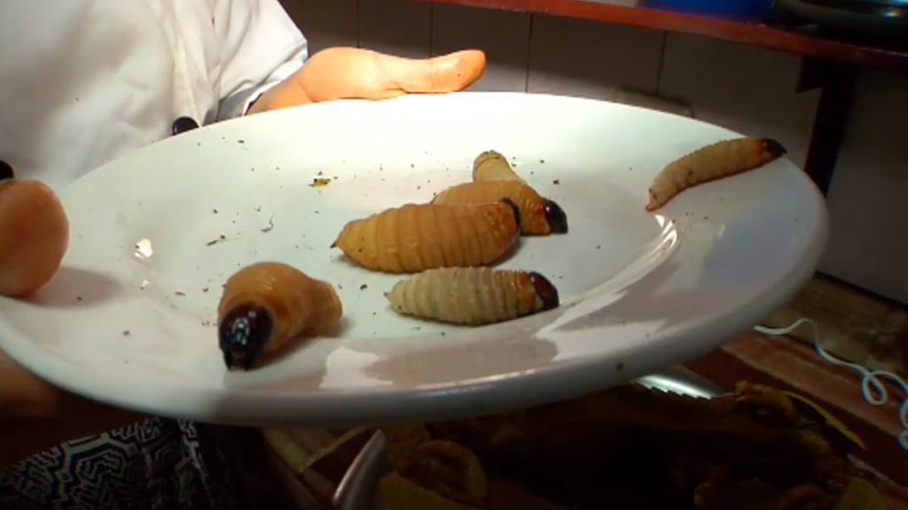 El suri peruano, una de las comidas imprescindibles de la cocina selvática
