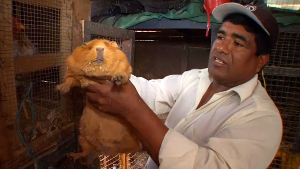 La calle de los animales, en busca de un regalo para una boda peruana