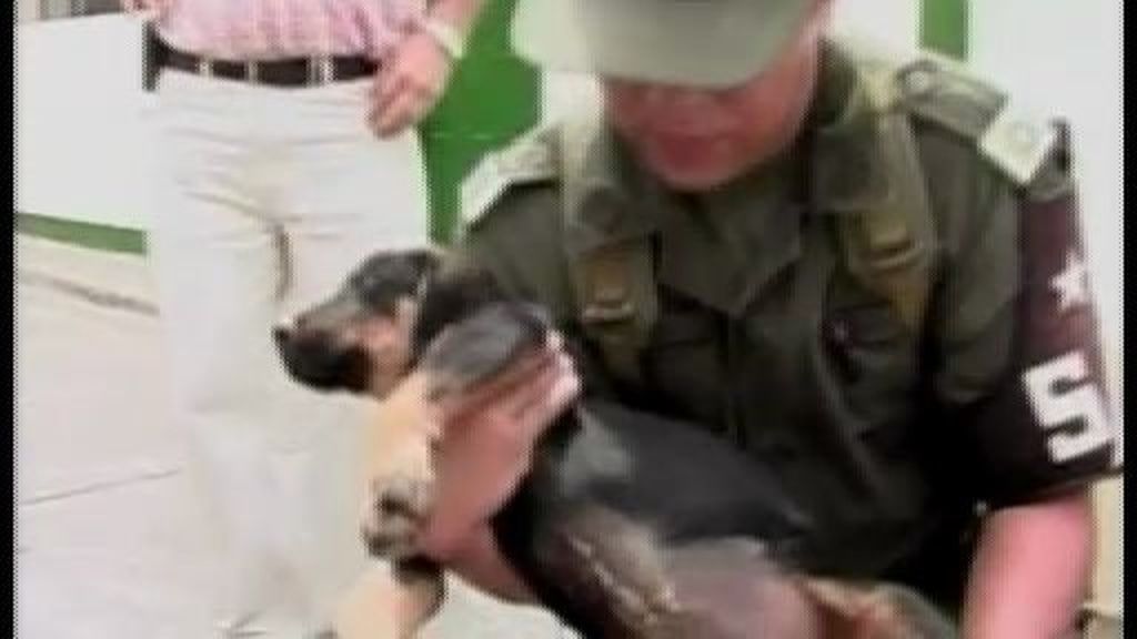 “El veterinario de los narcos”, despedido por robar de la caja para costearse el abogado