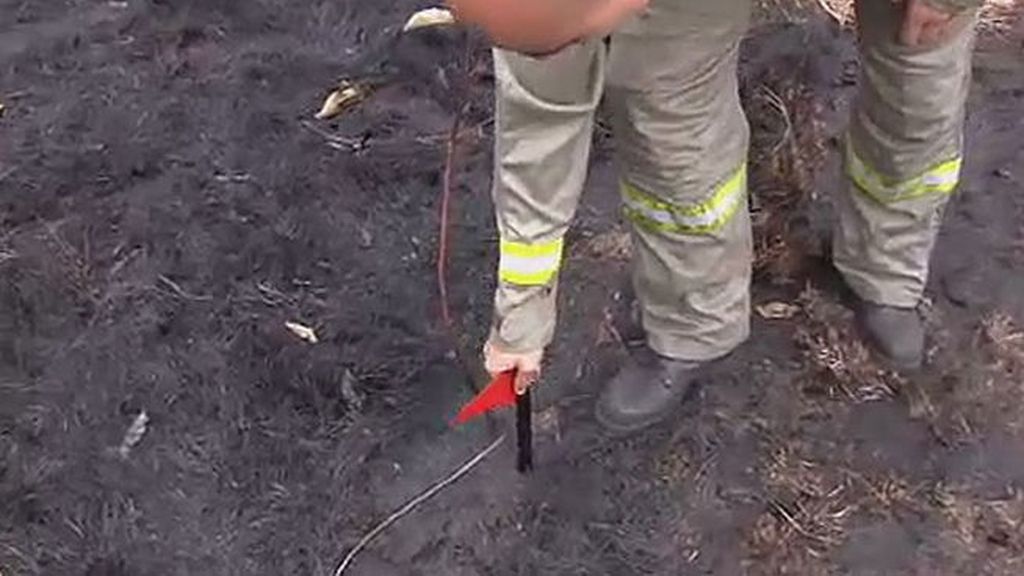 Más de la mitad de los incendios forestales son intencionados